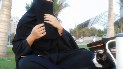 娱乐吃瓜君绯闻,揭秘明星背后的情感纠葛